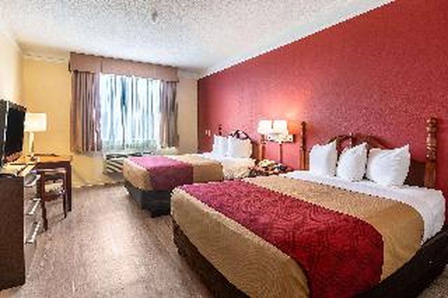 photo-1