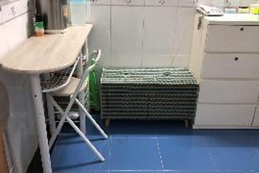 photo-0