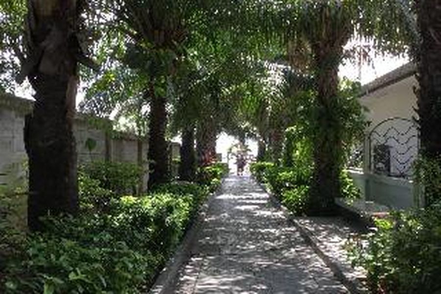 photo-1