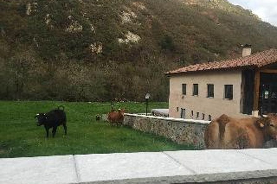 foto-1