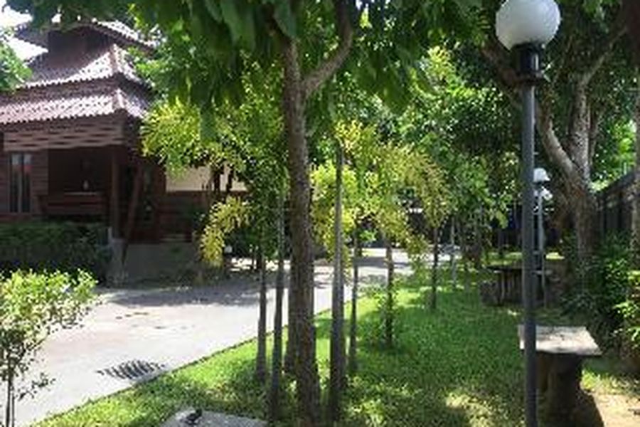 photo-1