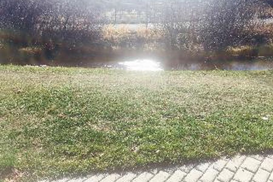 foto-1