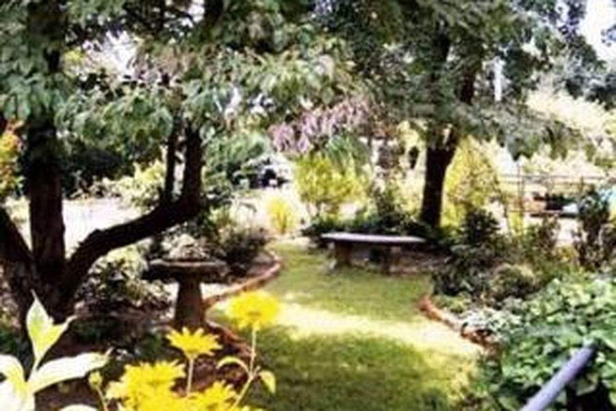 foto-2