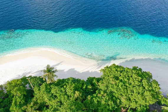 Mergulho Livre em Maldivas