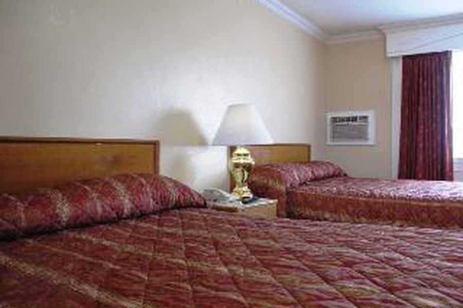 foto-3