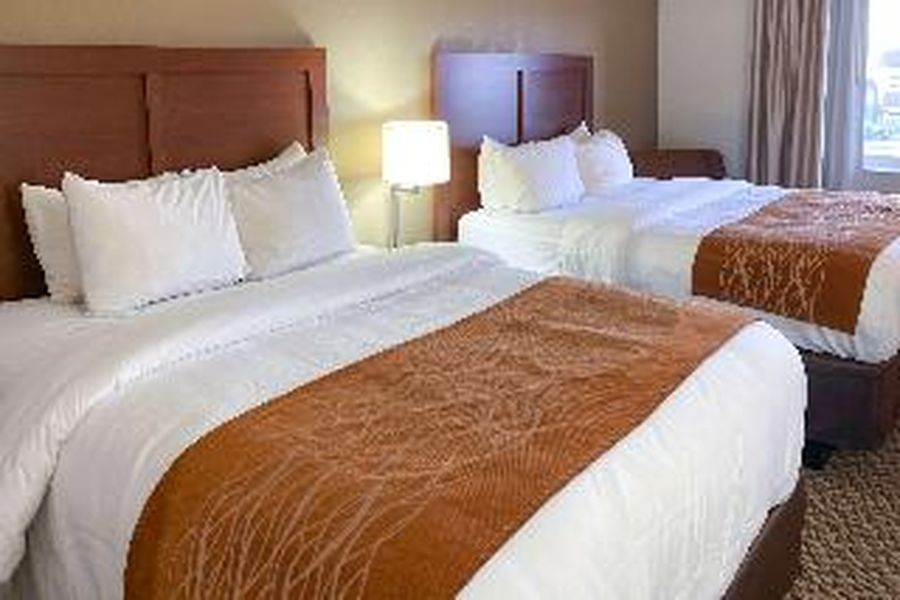 photo-3